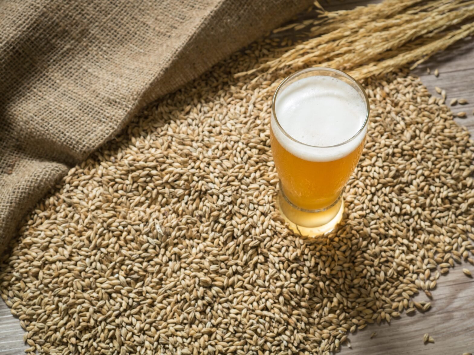 Beer could exert 'greater effects than probiotics’ say scientists